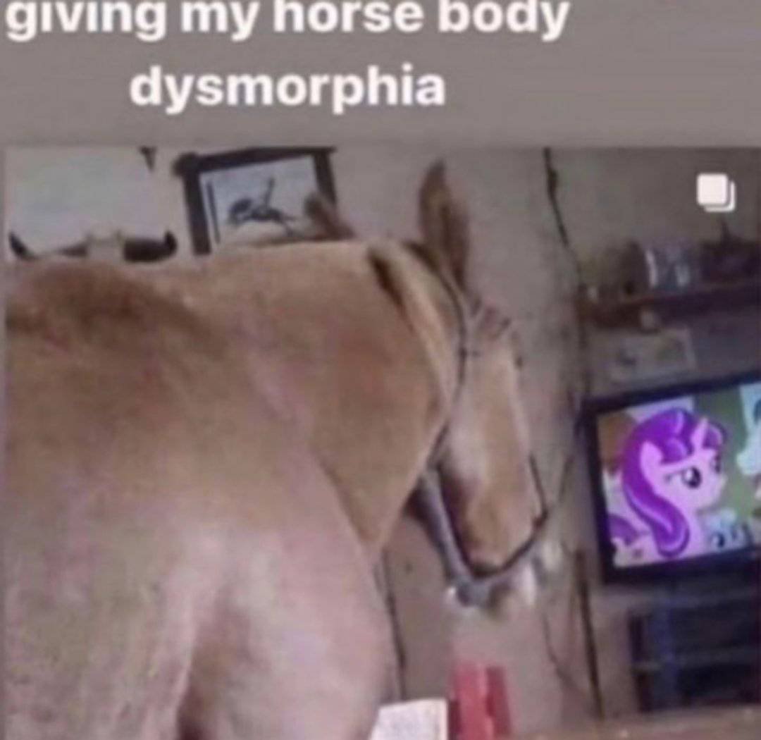 Gran Memes Sumire (@gransumemes) on Twitter photo 