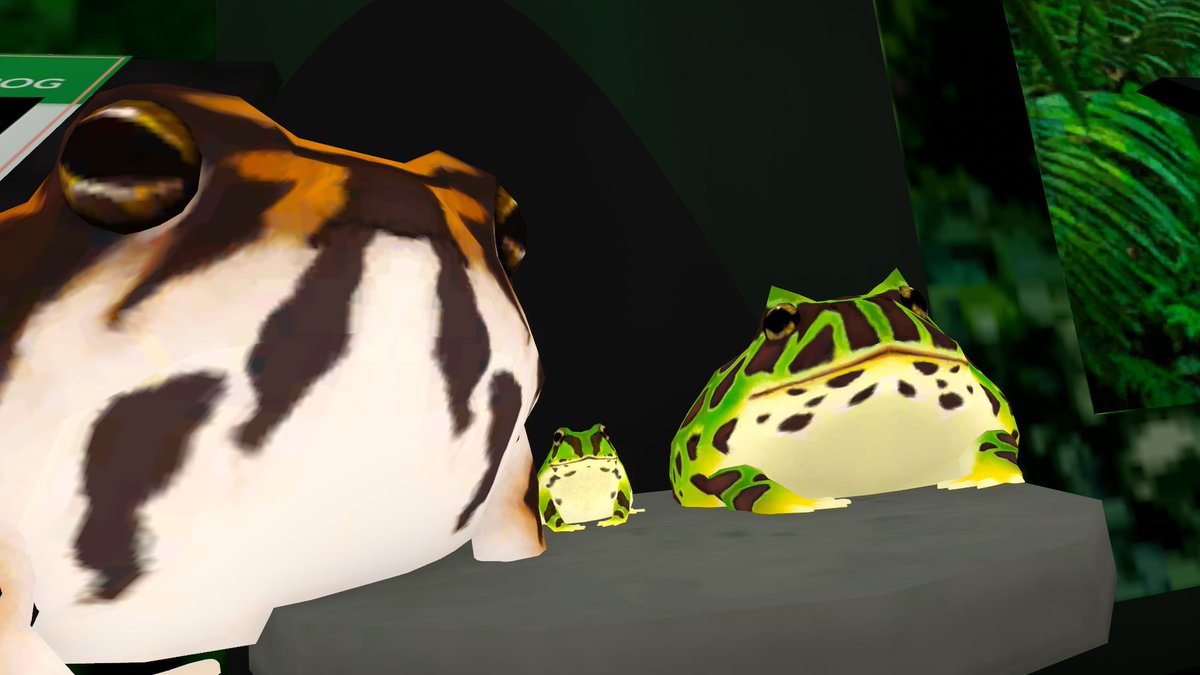 カエル🐸🐸🐸 (🐦＠/DarwinSkyborne) #VirtualFrogMuseum