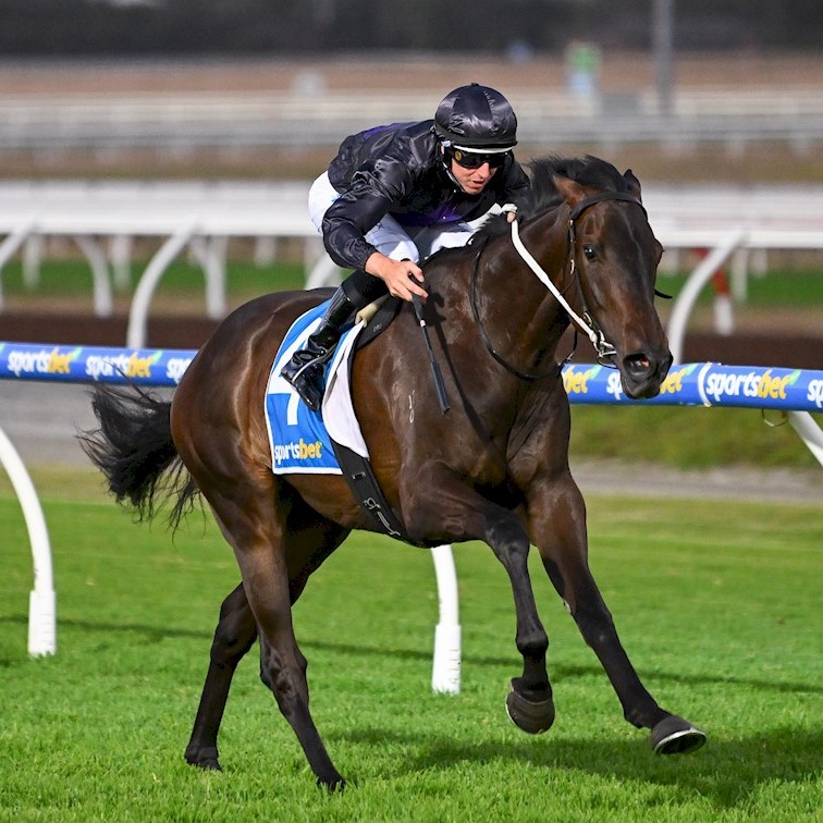 .@MickPriceRacing is the leading trainer at Sportsbet-Pakenham in 2023/24 with 19 winners for the season! 🥇 @LaneDamian is the leading jockey with 18 winners for the season. Lane has two rides for Price Kent Racing tonight, NEW SOVEREIGN (race 6) and WALKINASTRAITLINE (race 7,