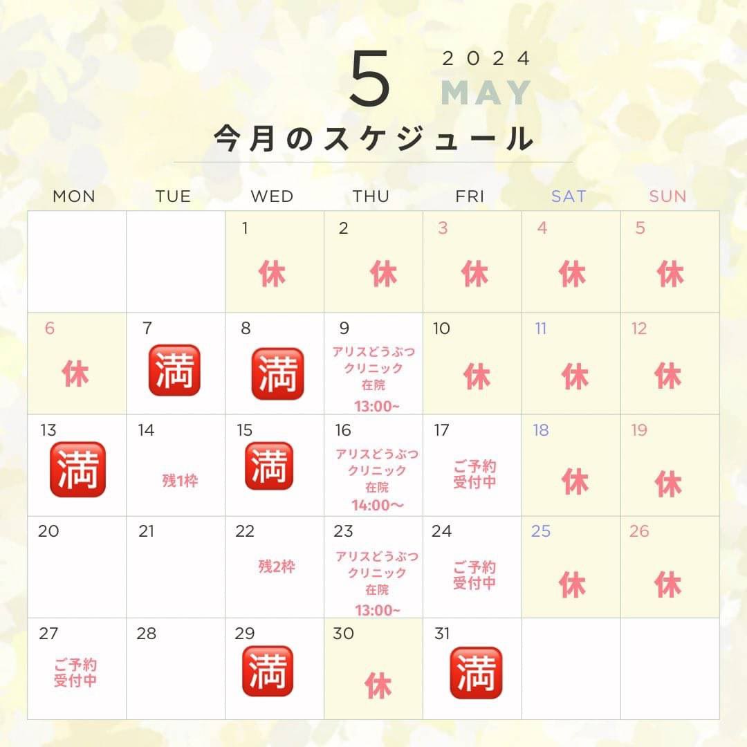 5月のサロン予約予定です🗓️
#メディカルサロンアルマ
#ごはんの先生
#栄養指導
#食育
#子育て支援
#動物
#栄養獣医学
#心理カウンセラー
#動物カウンセラー