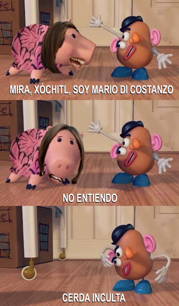 rand0m3e1's tweet image. Cultura política.