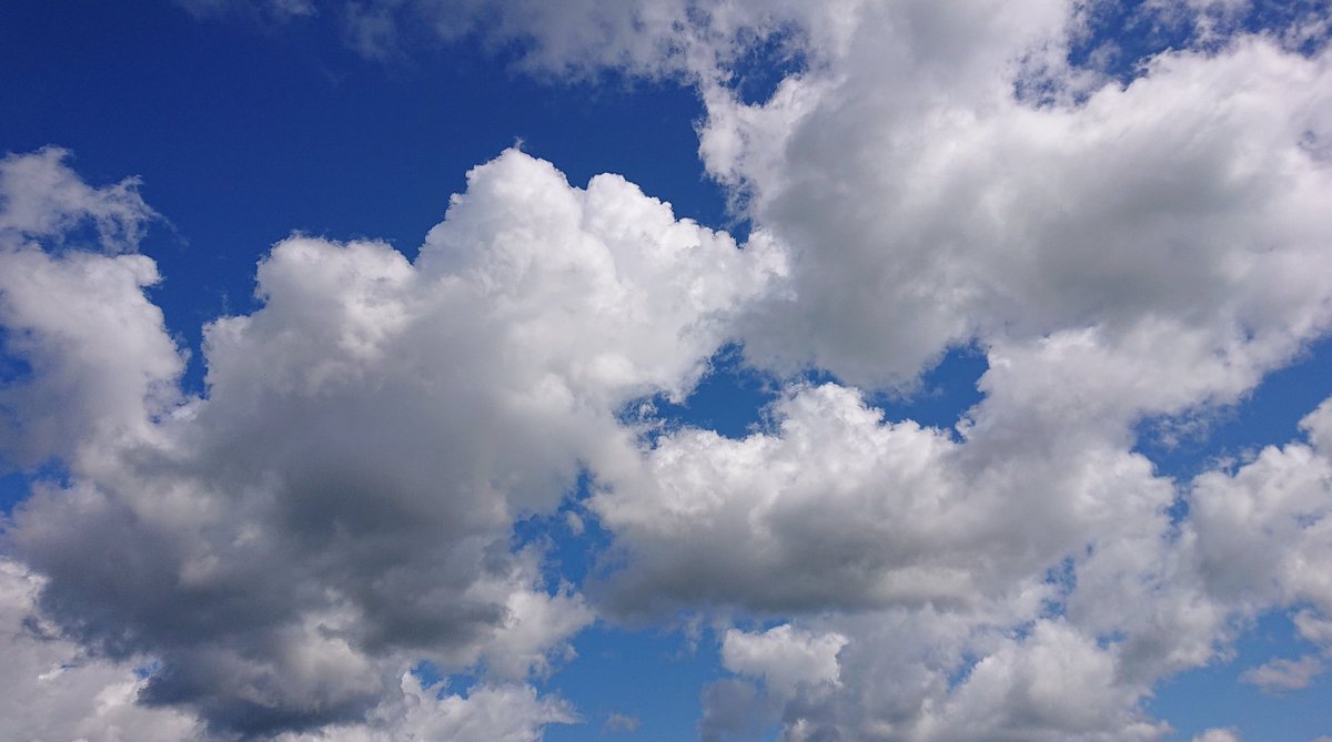 天気が安定しない今日この頃
こちらは初夏を思わせる雲が
でも気温は低め
体調管理が大変です💦

5月は気持ちが重めですが
怒涛のお知らせの海に溺れそうになりつつ😆FaOI2024も始まります✨
今日も推しのために働こう💪

#羽生クラスタ雲部