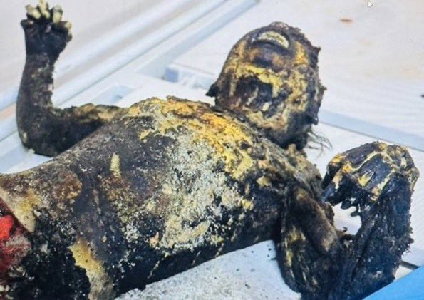 Israel membakar hidup-hidup anak-anak ketika mereka mengambil alih rumah sakit Indonesia di Gaza. 

Mayat dengan berbagai kondisi di kuburan massal ditemukan salah satunya seperti ini. 

Dilaporkan oleh Jurnalis <a href="/HossamShabat/">حسام شبات</a>