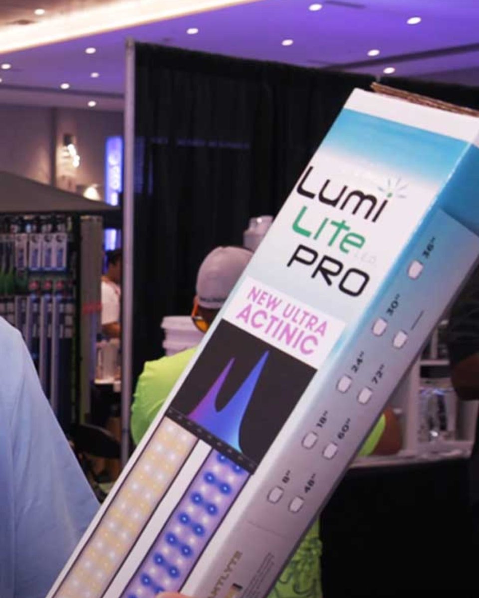 💥NEW VIDEO RELEASE💥NEW Ultra Actinic Lumi Lite Pro from Reef Brite! 😎

Go to SaltwaterAquarium or our YouTube channel to Watch the Video!🐟🐟🐟
💜
#reeftank #saltwatertank #saltwateraquarium #aquariumhobby
