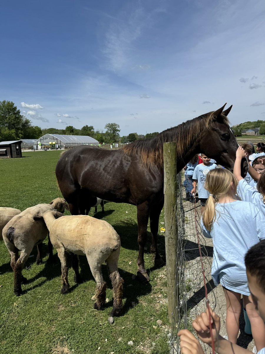 It was a beautiful day at the AgriPark today!