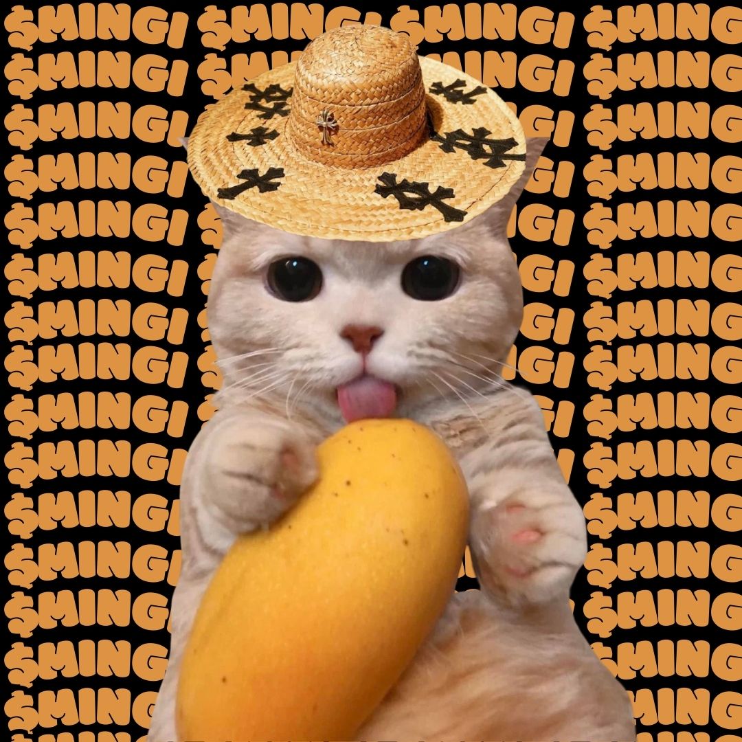 Paws wrapped 'round my mango, can you see me? My name's Mingi and oh, I know you adore it! <a href="/blknoiz06/">Ansem</a> 
$MINGI