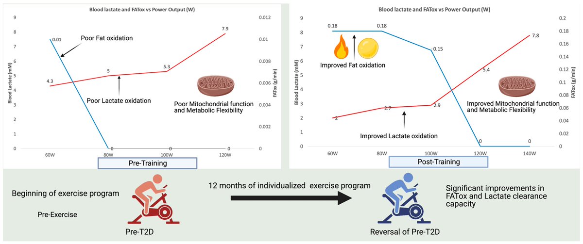 The Key Role of Mitochondrial Function in Health and Disease By Dr. Iñigo San Millán @doctorinigo Enjoy reading👉mdpi.com/2209962