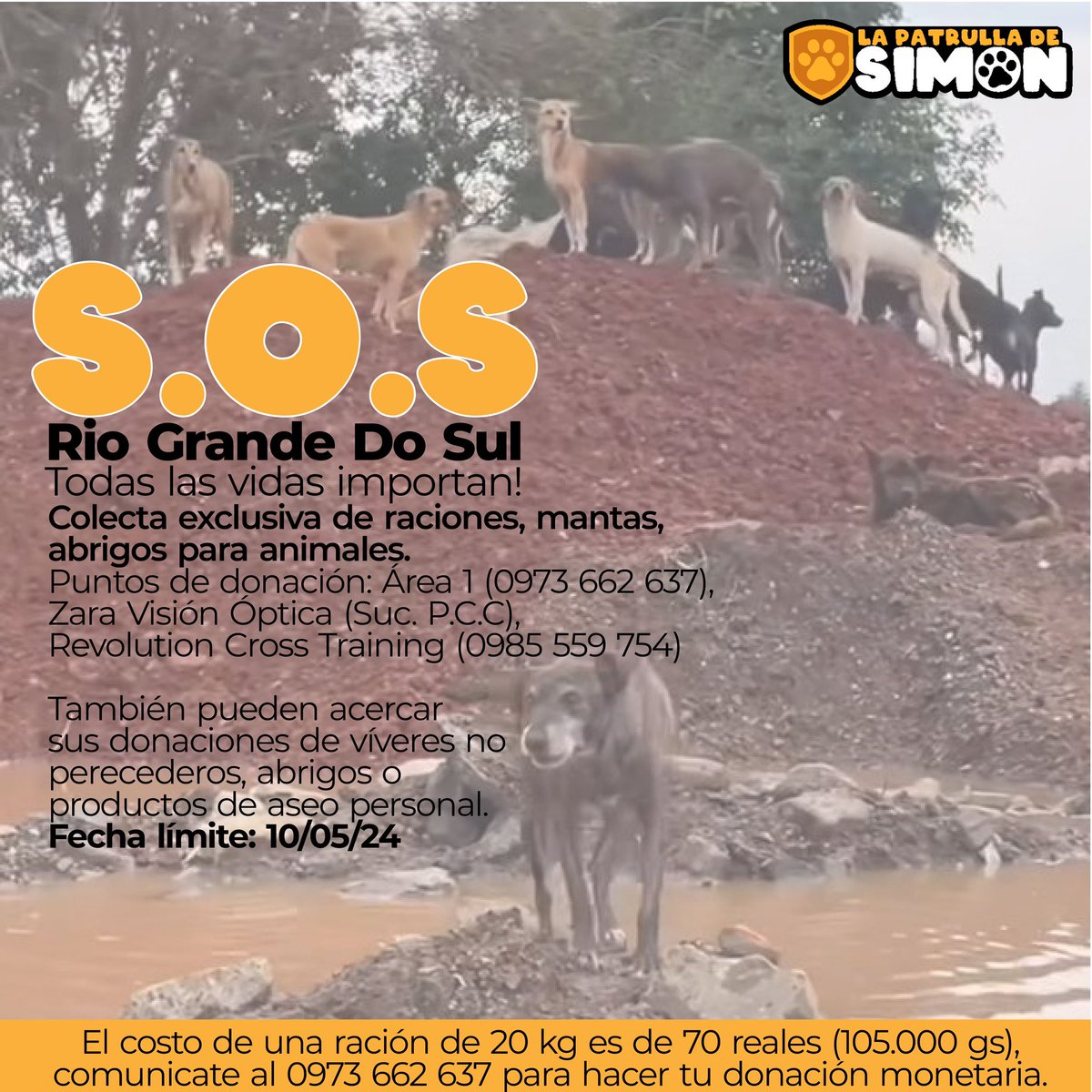 ale_pratt's tweet photo. Hola! 
Como saben la gente de Río Grande do Sul está pasando muy mal a causa de las inundaciones y también los animalitos que se vieron afectados 💔
Estamos haciendo una colecta para entregar en Foz de raciones, víveres, abrigos y todo lo que pueda ayudar‼️
RT PORFAVOR https://t.co/B3xnKdYbSA