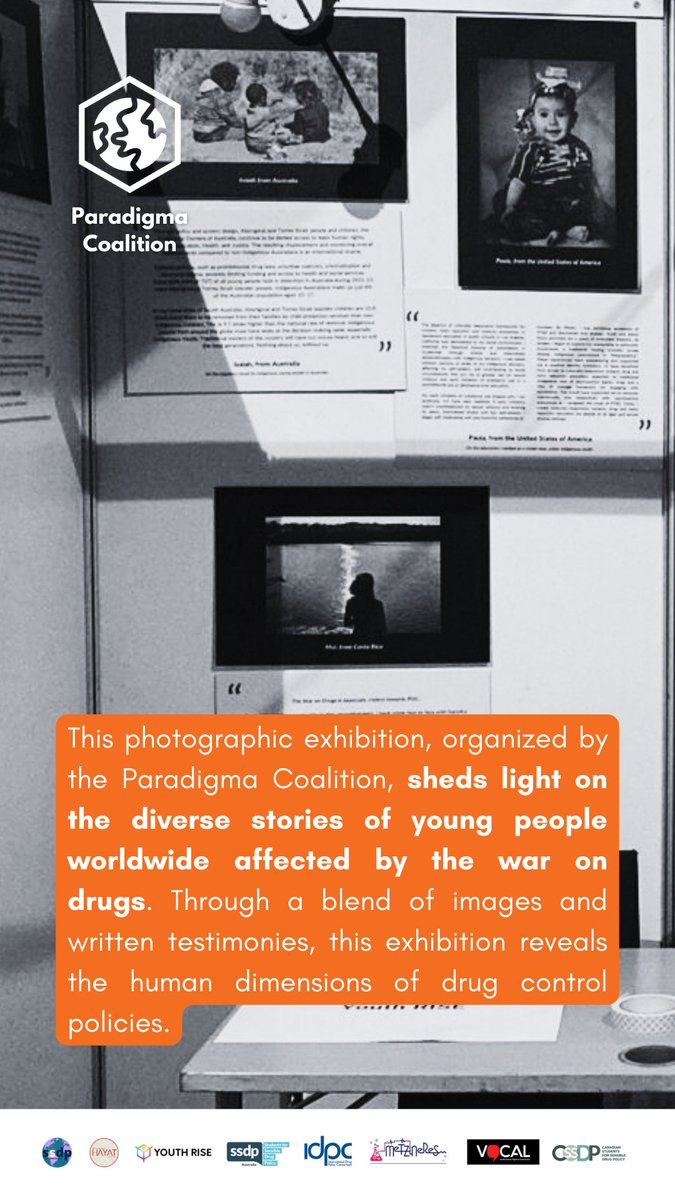 Youth RISE tweet media