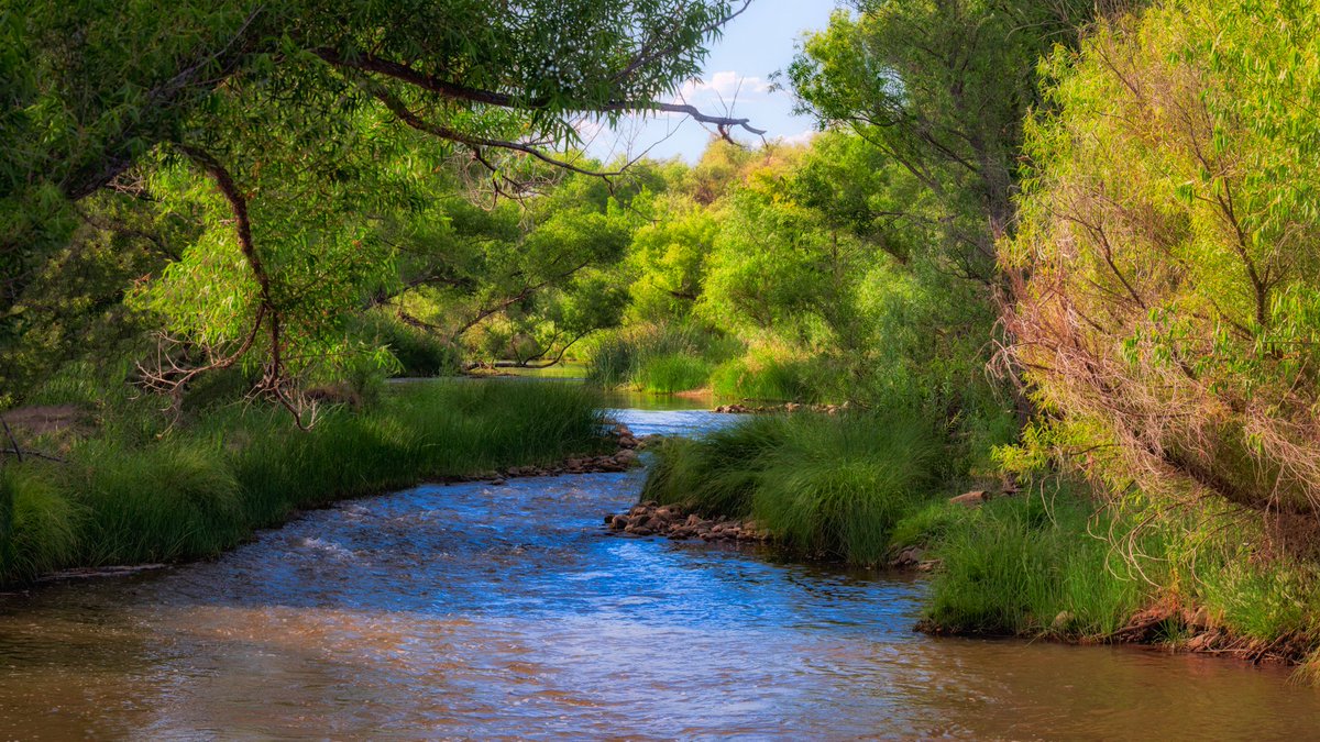 Arizona 🧐

#waterislife #NatureLover