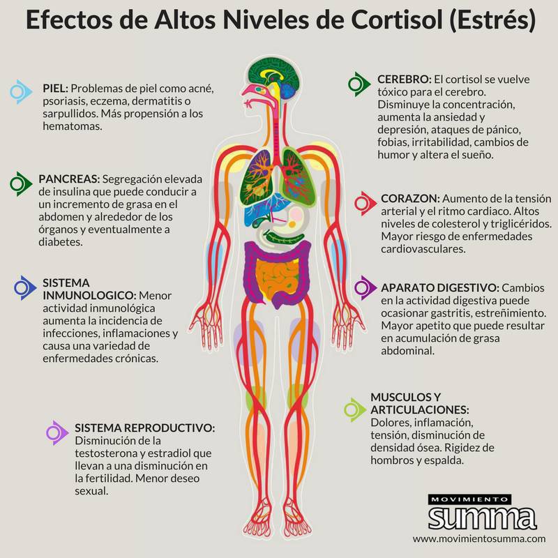 virginiog's tweet image. La epidemia de estrés implica más Cortisol que daña el hipocampo cerebral, afectando la memoria y el aprendizaje, impacta en los estados de ánimo y está detrás de problemas graves de bienestar provocando  depresión y ansiedad

Pero no solo actúa en el cerebro

¡Prevenir es clave!