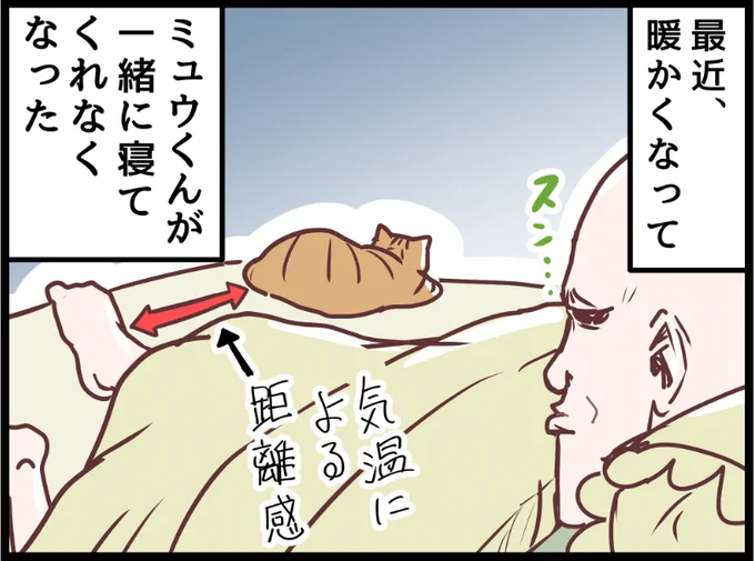 大人しくしてると思ったら・・・笑  covovoy.blog.jpからまだ未公開の最新話を読むことができます!  #ニャンコ #まんが #猫 #猫あるある #猫漫画 #ペット #飼い主 #エッセイ漫画 #キャット #猫のいる暮らし