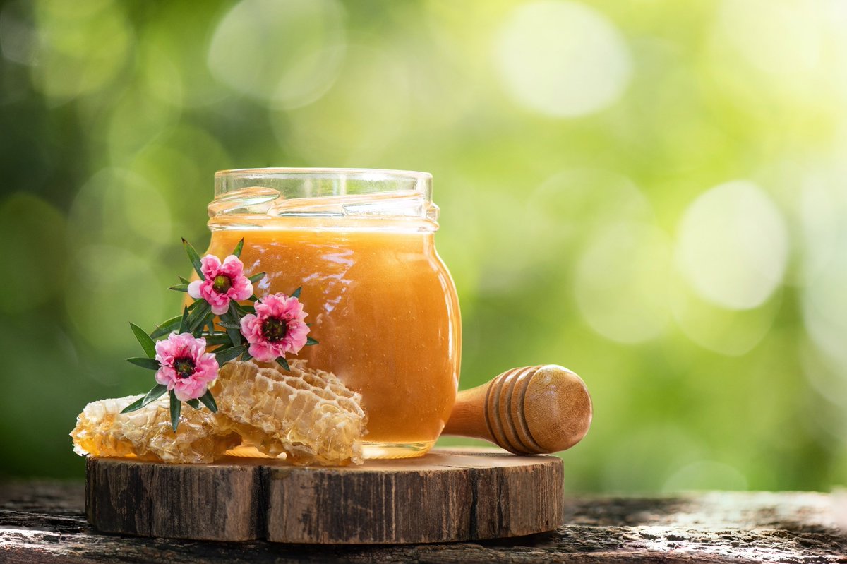 Freshness matters: Study finds newer honey packs a stronger antibacterial punch 🐝🍯🔬 news-medical.net/news/20240508/… #AntibioticResistance #Honey #NaturalRemedies #Antibacterial #RespiratoryHealth#Biofilm #HoneyBenefits #Microbiology @SciReports