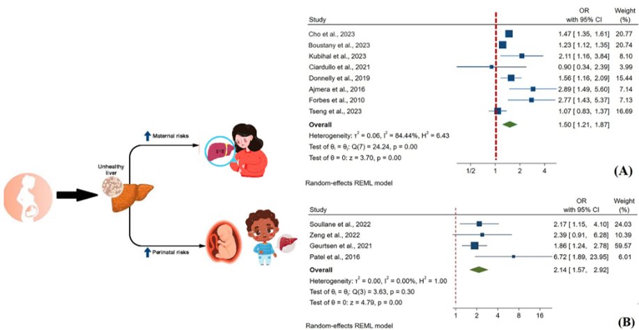 Global Centre for Asian Women's Health (GloW) tweet media