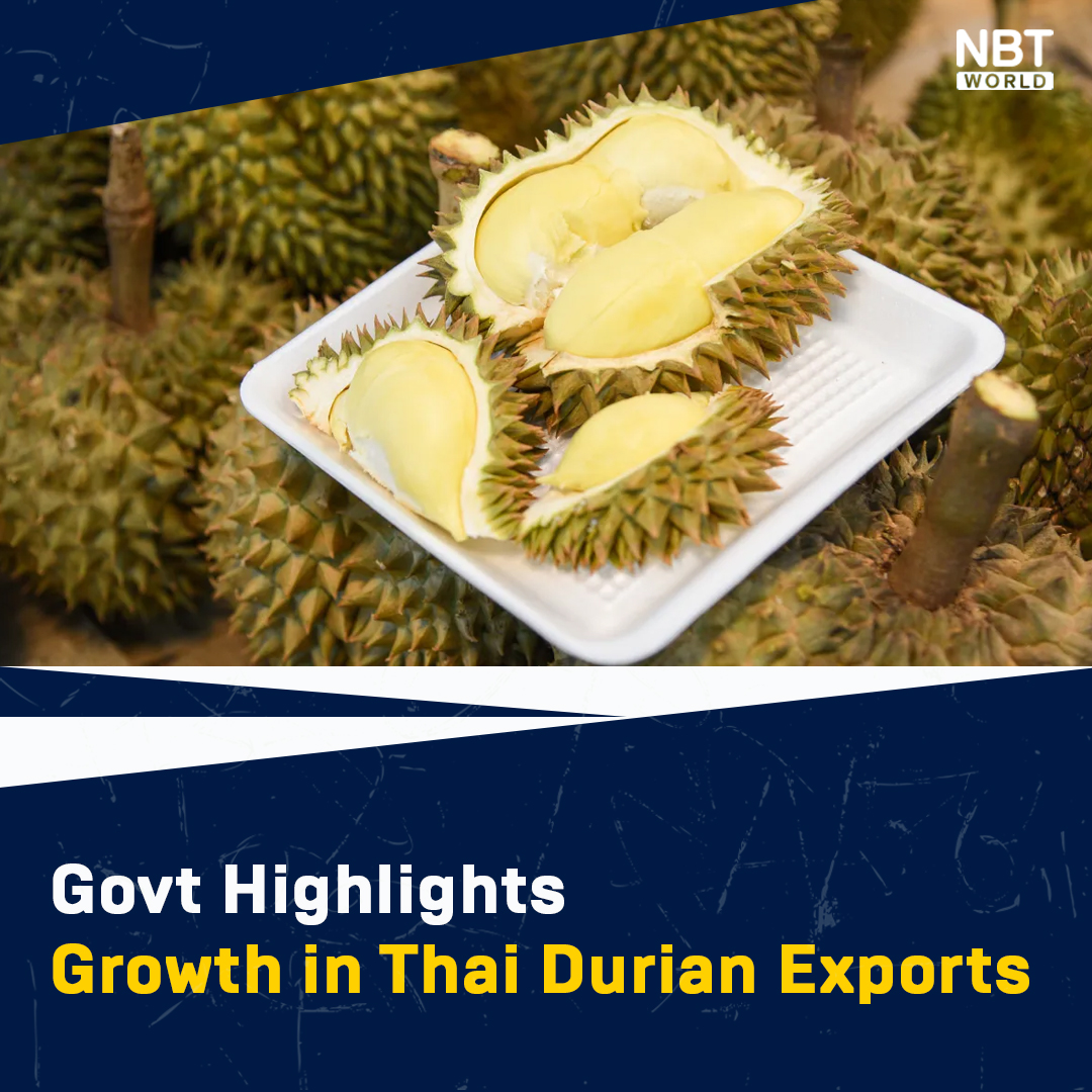NBTWORLDNews's tweet image. Govt. Spokesperson Chai Wacharonke announces PM Srettha Thavisin's backing for Thai durian exports, aiming for 130 billion baht in exports. 

See more: Facebook.com/nbtworld

#ThaiDurian #Exports #EasternRegion #FarmersIncome