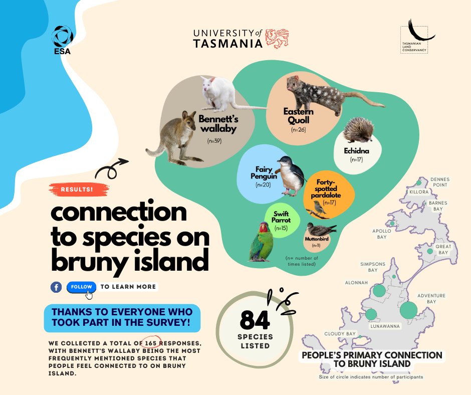Tas_Land's tweet photo. TY to everyone who took part in TLC Bird Conservation Scholar Edith Shum's study “Connection to Species on #BrunyIsland”. Topping the list is:
1. #BennettsWallaby 🦘
2. #EasternQuoll
3. #FairyPenguin 🐧
4. #Echidna
5. #Fourtyspottedpardalote
6. #SwiftParrot 🦜
7. #Muttonbirds https://t.co/yDuQYl1aaX