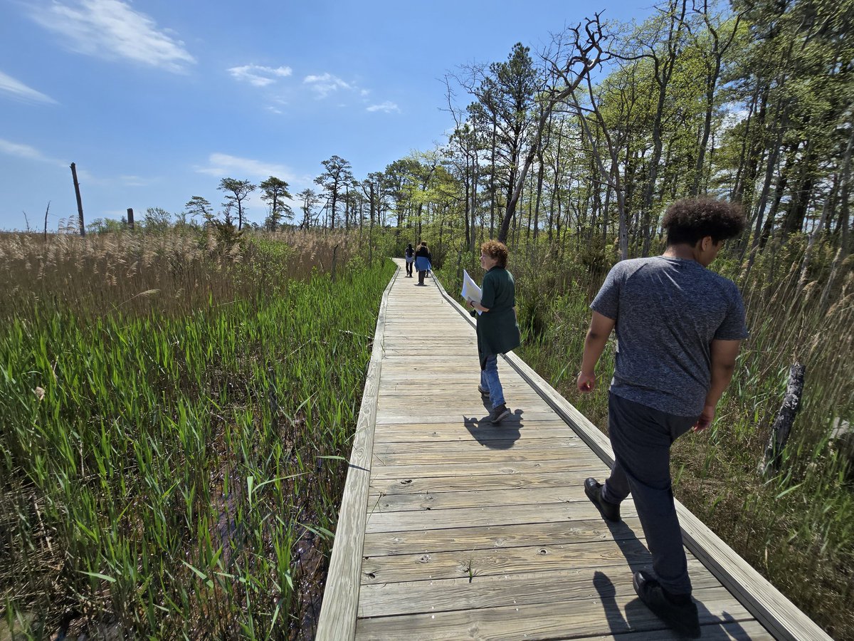 Mr. Simmler tweet media