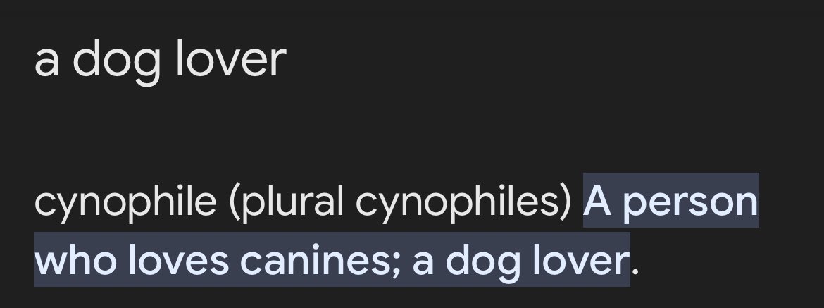 HELP ME I JUST REMEMBERED HOW I THOUGHT TAYLOR SAID “CYNOPHILE” INSTEAD OF “CINEPHILE” IN LOML 😭