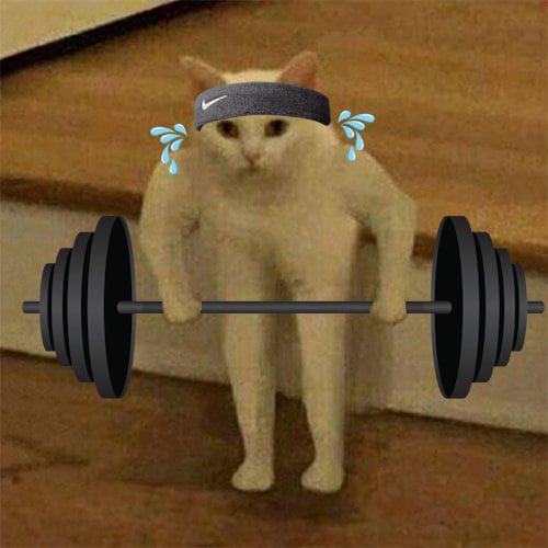@W0LF0FCRYPT0 Better show up For $legs day