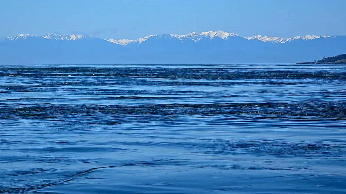 Dr. appointments yesterday (not mine) so no mailboat'n. Beautiful weather but a -2.11 tide was the story of the day. Pictures: Someone pulled the plug and let the water out. I moved somewhere around 1,200 pounds of freight up and down ramps today. The Olympic Mountains.