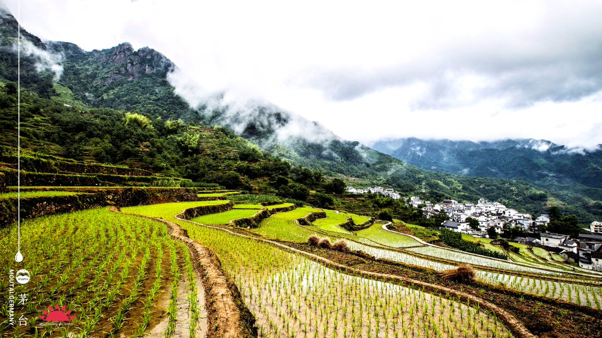 Anticipate the difficult by managing the easy. ~Laozi
#Moutai #MoutaiGermany #WisdomQuotes #Scenery #InspirationQuotes #QuoteOfTheDay #Mindfuless #DailyWisdom #positivevibes