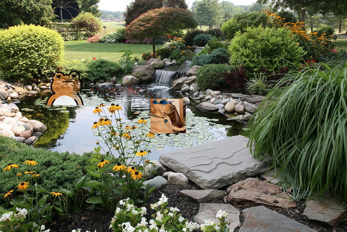 <a href="/TheMisterFrog/">Mr. Frog</a> To my dear friend, Mr.fat frog

It's $SED from the scene, Where the devs are crafting memes by the machine. But alas, though their work is truly vast, Our volume's still silent, no echoes cast.

Could you lend a hand, or perhaps a webbed foot, To pump the chart with a splash Mr.F