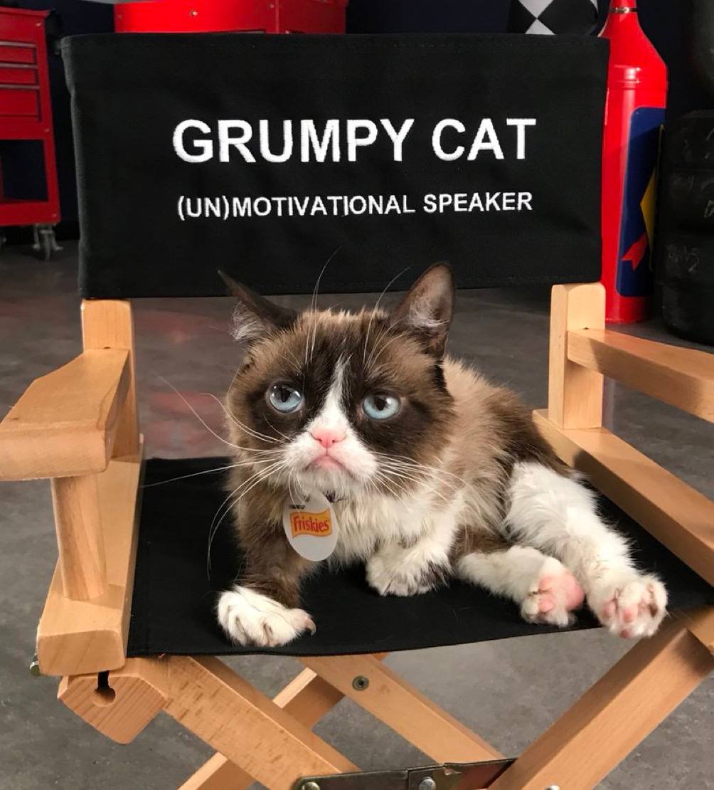 @MonstersCoins I'm So Grumpy!