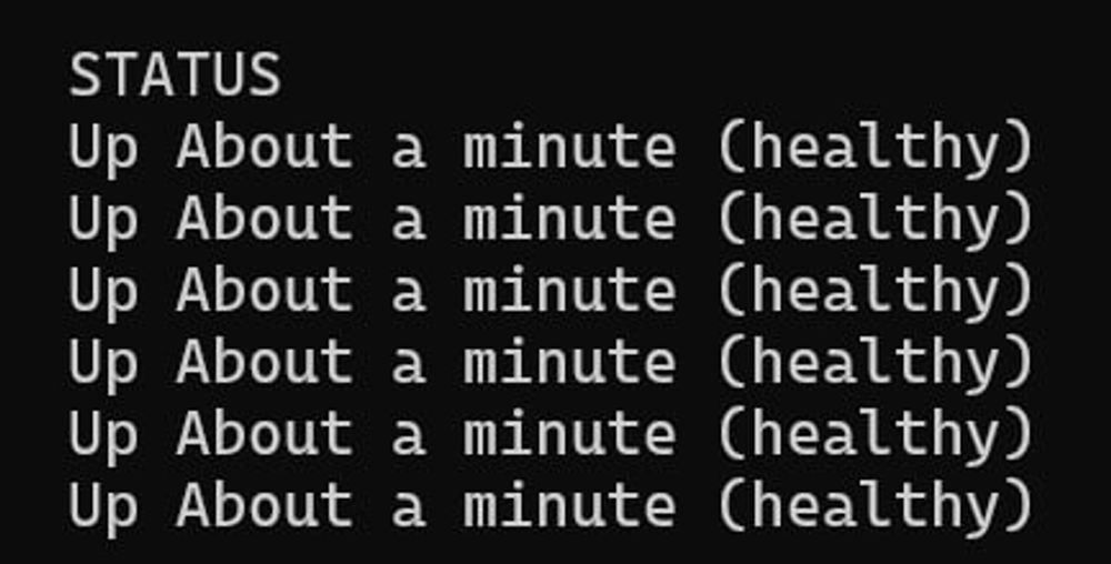 Added healthchecks to all my docker containers, feels good