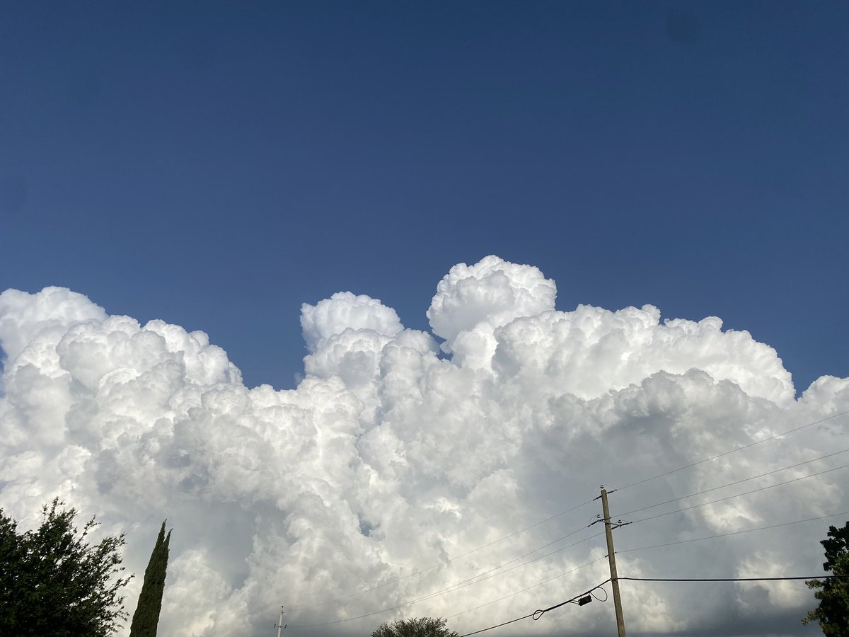 cynomel's tweet image. Look how beautiful it was while walking my dog today