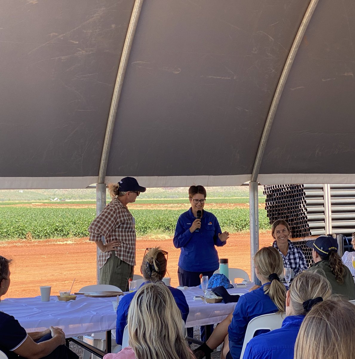 Sarah Nolan-Gorman tweet media