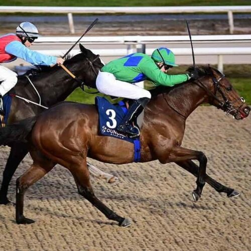 Tosen Wish runs at Cork on Friday in a 7f handicap on the turf. Jockey Ronan Whelan is in the saddle for Adrian McGuinness. The race runs as race 4 at 17:50 local time.