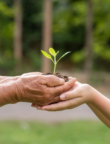 📈 Invest in the planet with NETZERO. Our tokenomics supports environmental initiatives through blockchain technology. Dive into the details at nzerocoin.com.

#GreenInvesting #CryptoForChange