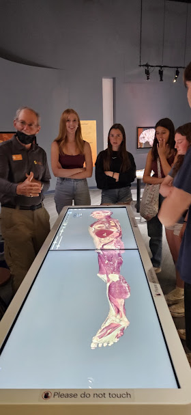 🌟 Shoutout to Mr. Albiento, Sports Med Class teacher at Campolindo High! Thanks to CCCOE's Career Readiness Program, 18 students enjoyed a field trip to the Tech Museum of Innovation in San Jose, exploring the Body Worlds exhibit. Hands-on education like no other! 🚀 ##CCCROP