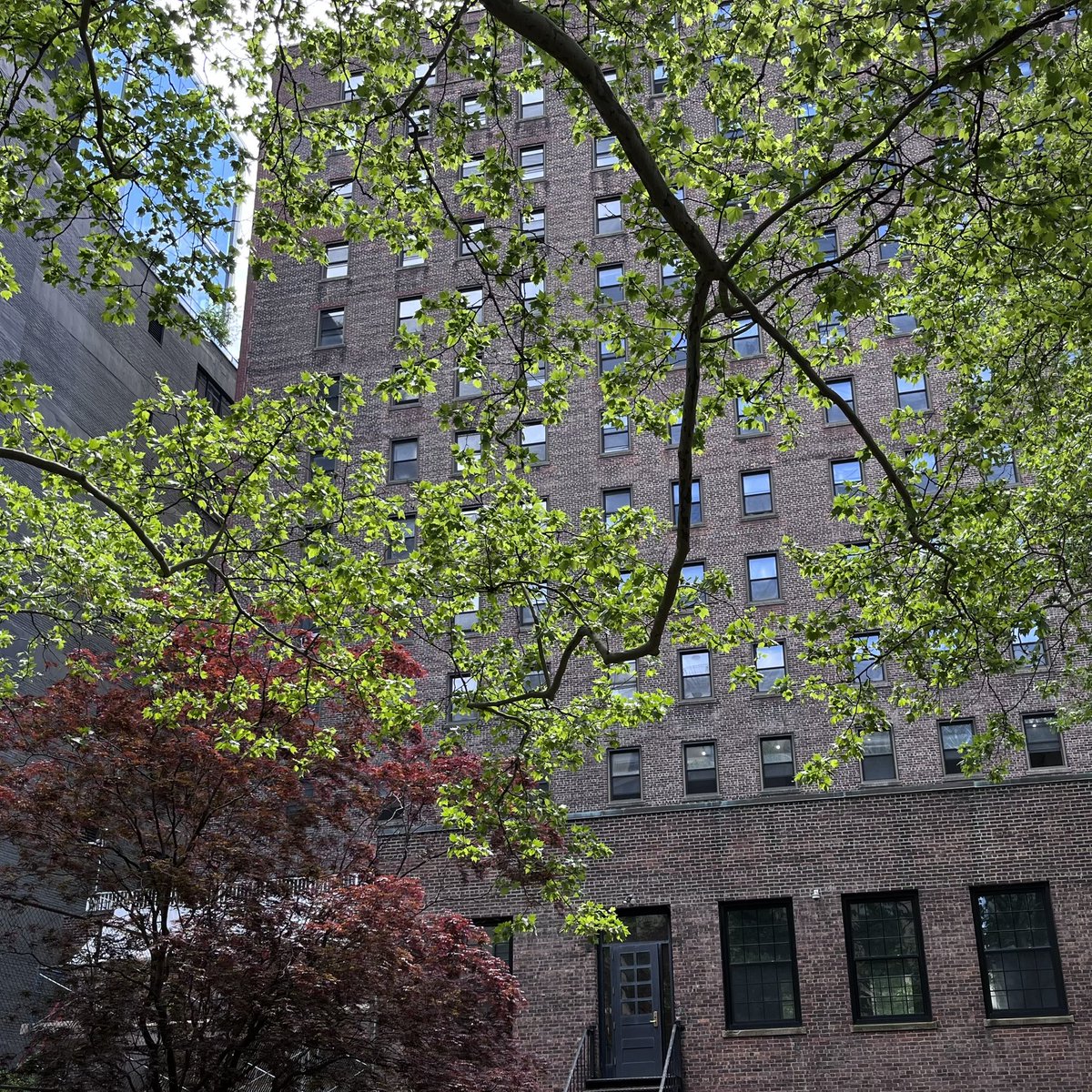 thirdpl's tweet image. Spring in the big city