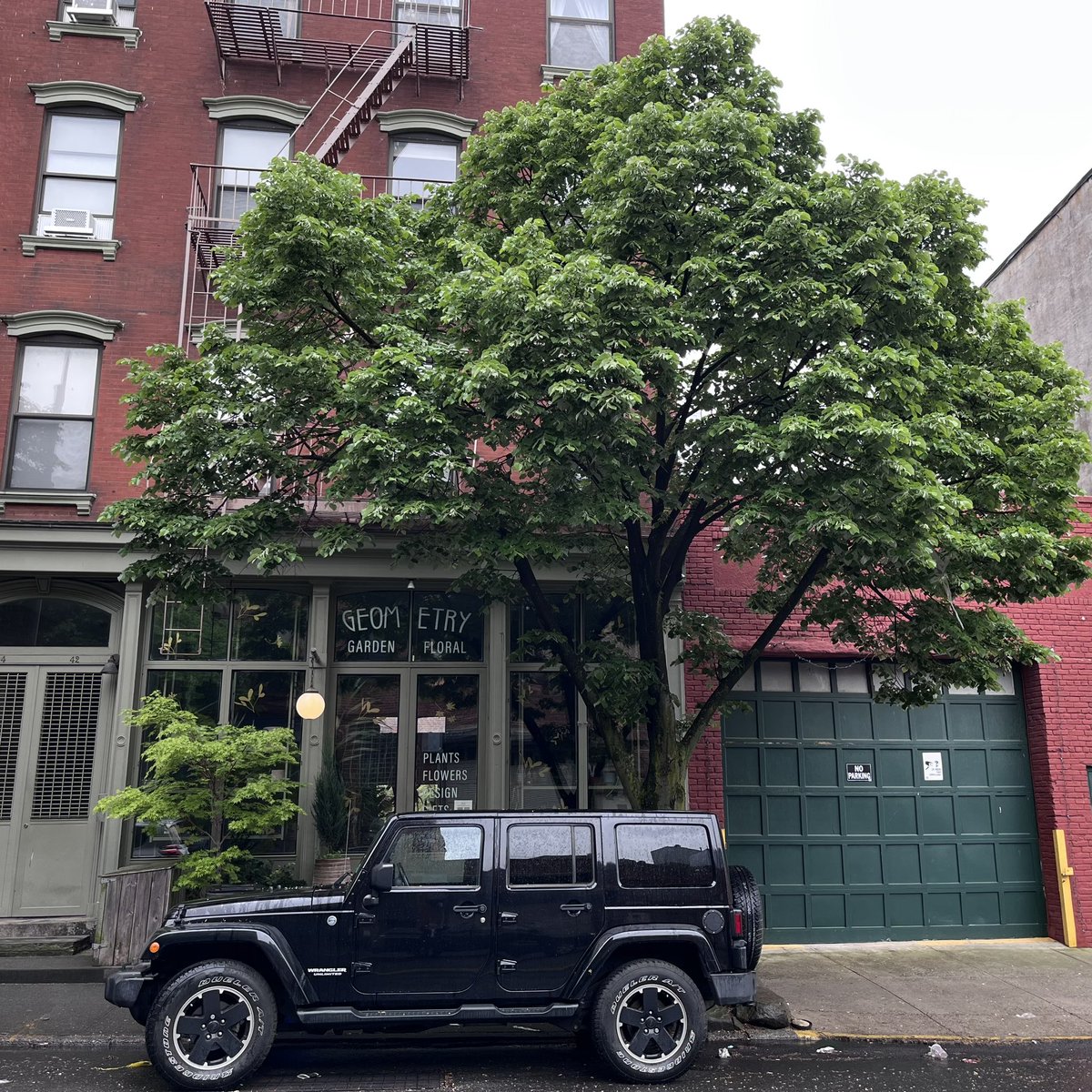 thirdpl's tweet image. Spring in the big city