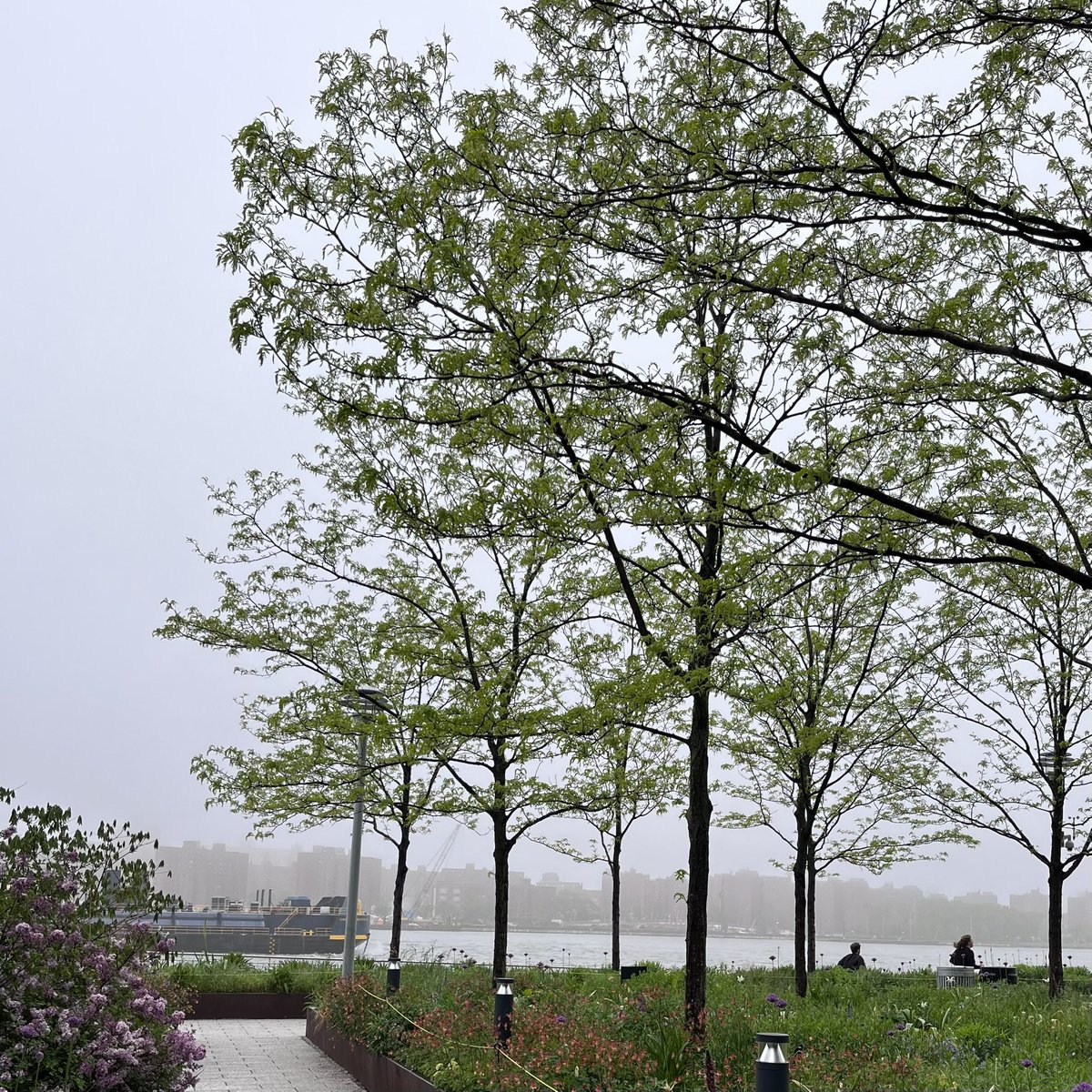 thirdpl's tweet image. Spring in the big city