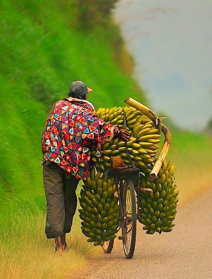 Climate change is a big threat to Nigeria food security, affecting both subsistence and commercial farming. #Fight_Climate_Change_Now! #WhatHasChanged #ClimateActionNow #Adaptation #Agriculture #Act4Nature #ClimateJustice