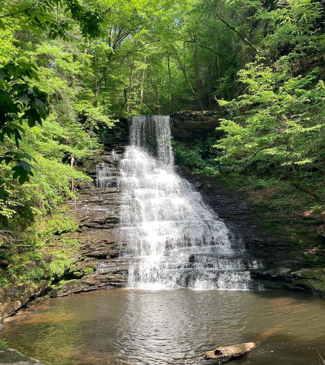 Have you seen the Pisgah Gorge waterfalls? Upper Falls is easier to see, but the others are more difficult. Let us know your tips for seeing these beauties!

#visitnorthal #waterfallwednesday #pisgahgorgefalls #northalabamawaterfalltrail #waterfalls 

📸: @kozdok