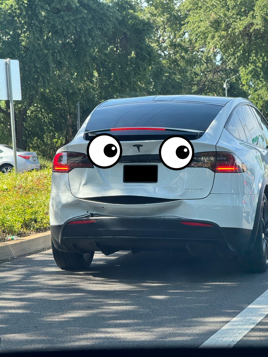 It looks like the back of this Model X has a mouth