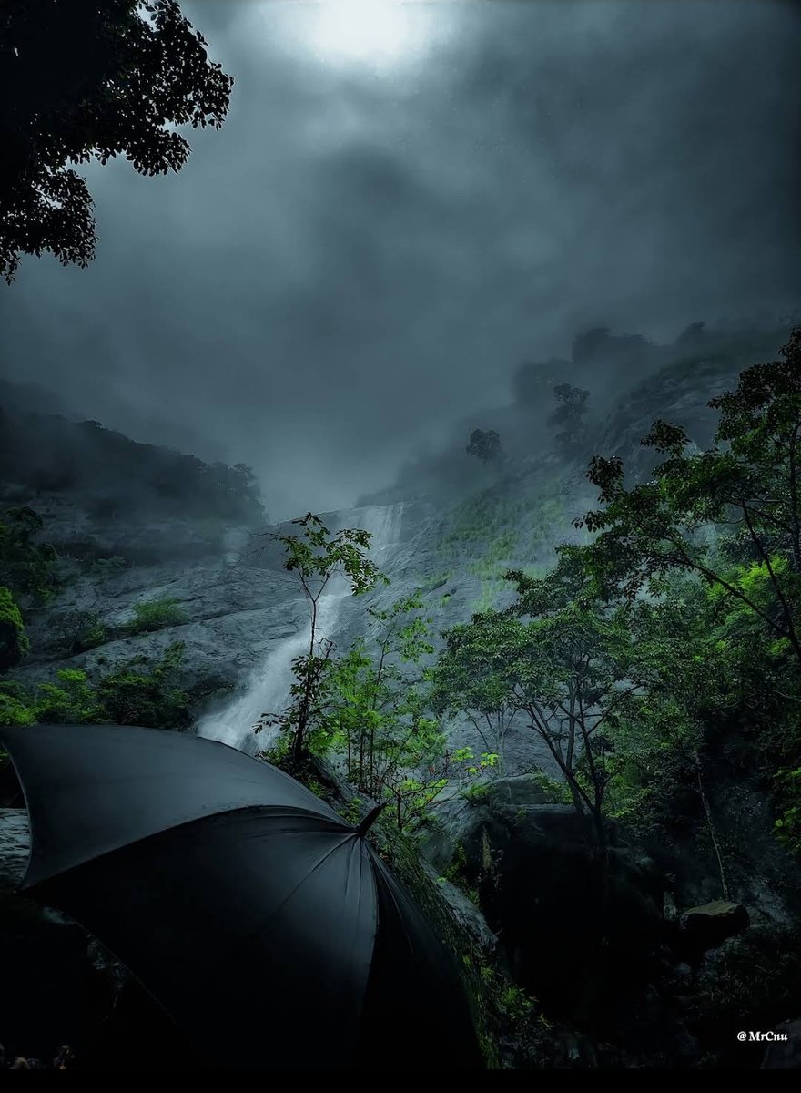 Palaruvi , kerala - during monsoon