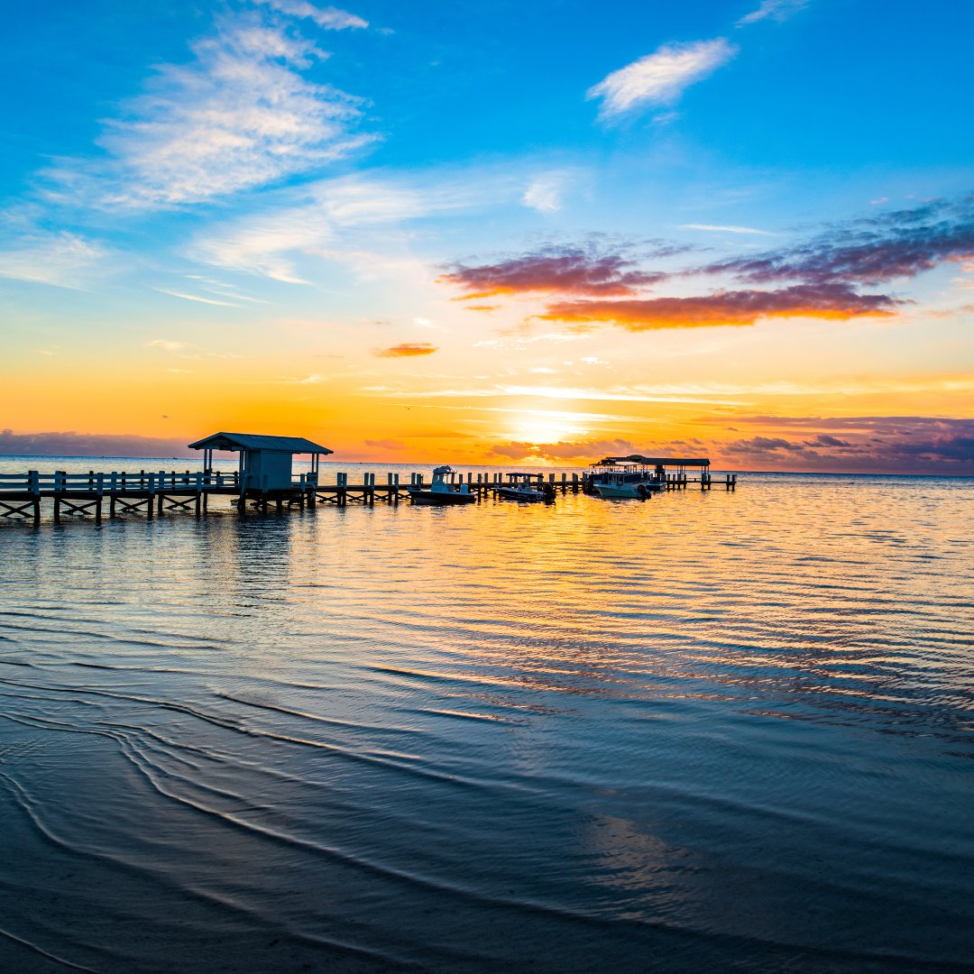 Chasing sunsets along Florida's coastline: where every dusk paints the sky with a symphony of colors, casting a magical spell over the tranquil waters. 🌅🌊 Follow tinyurl.com/29pmf4rk for more! #FloridaSunsets #BeachVibes #CoastalMagic #SunsetSerenity #GoldenHour