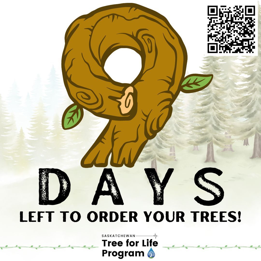 Time is running out!  The last day to order your trees is May 17!  Shop available trees at buff.ly/3iLIJJW
 
Your purchase helps support programming in #Saskatchewan that promotes healthy watersheds –  thank you!
 
#UrbanPlanning #SupportingWatersheds #SaskAg