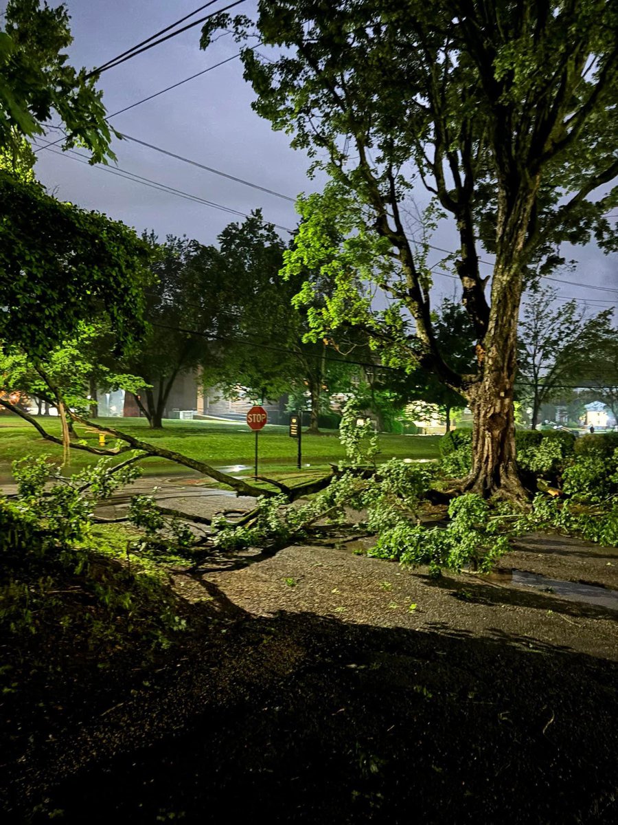 Tree blocking Hargrove St. at the corner of E Pryor St and Hargrove near downtown Athens. Photo: Kevin Harrington @NWSHuntsville @whnt @WAAYTV @waff48 @FOX54News @LimestoneEMA @spann @simpsonWVTM13