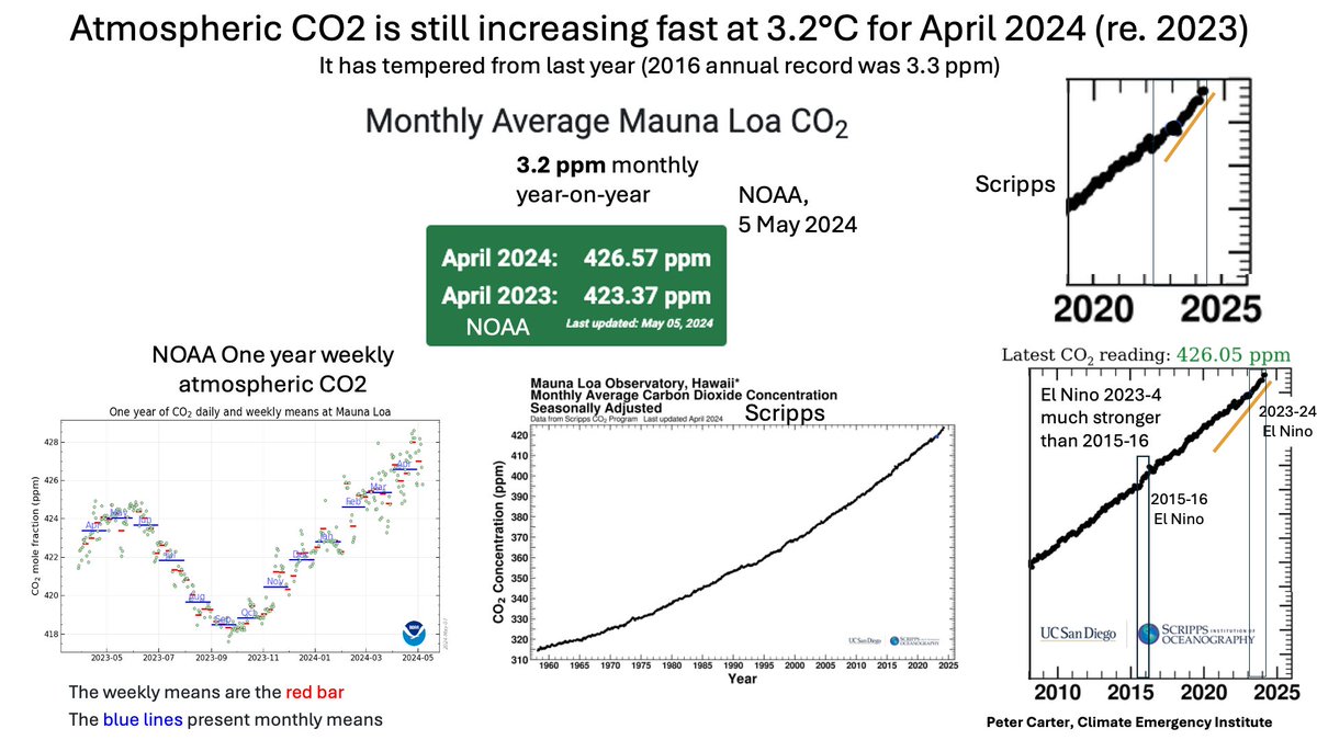 ATMOSPHERIC CO2 INCREASING FAST: APRIL 3.2 ppm Still April 2024 is 3.2 ppm higher that April 2023 (NOAA) 2023-4 El Niño has been much stronger than 2015-16 (that was 3.3 ppm annual increase. gml.noaa.gov/ccgg/trends/ml… #CO2 #ClimateChange #globalwarming