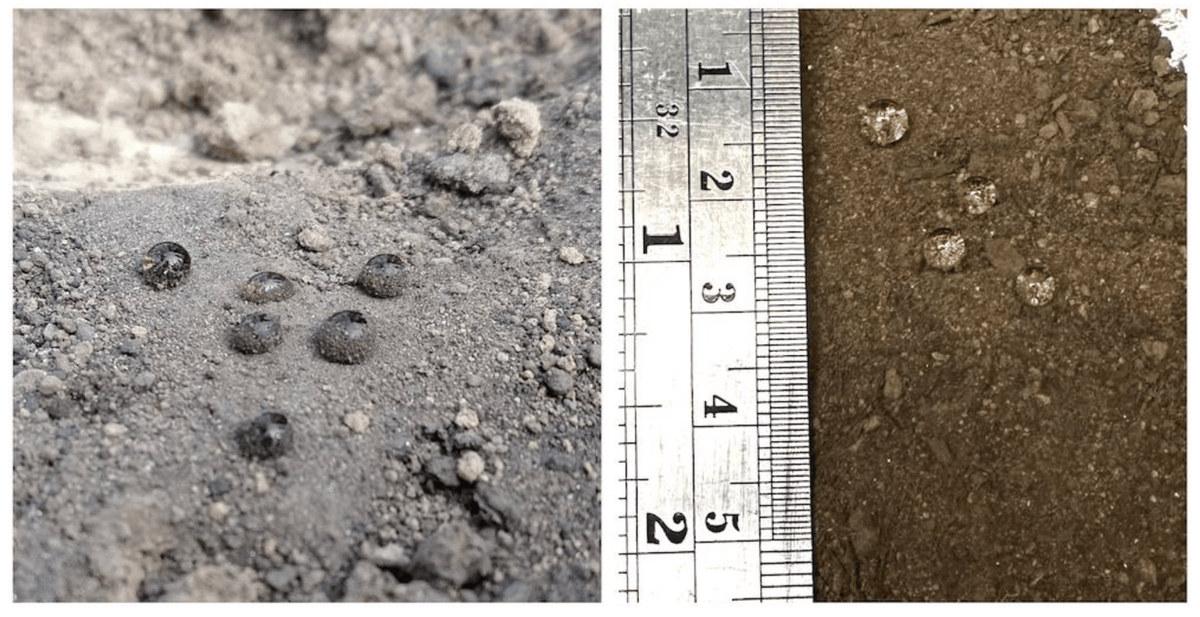 Fire_MDPI's tweet photo. Unraveling the aftermath of California’s megafires! 🔥 New research digs into soil changes post-Dixie, Beckwourth Complex, Caldor, and Mosquito fires, revealing increased water repellency &amp; chemical shifts. 
https://t.co/jX8501EBli
#WildfireEffects #SoilChemistry https://t.co/u9RI4XK9wB