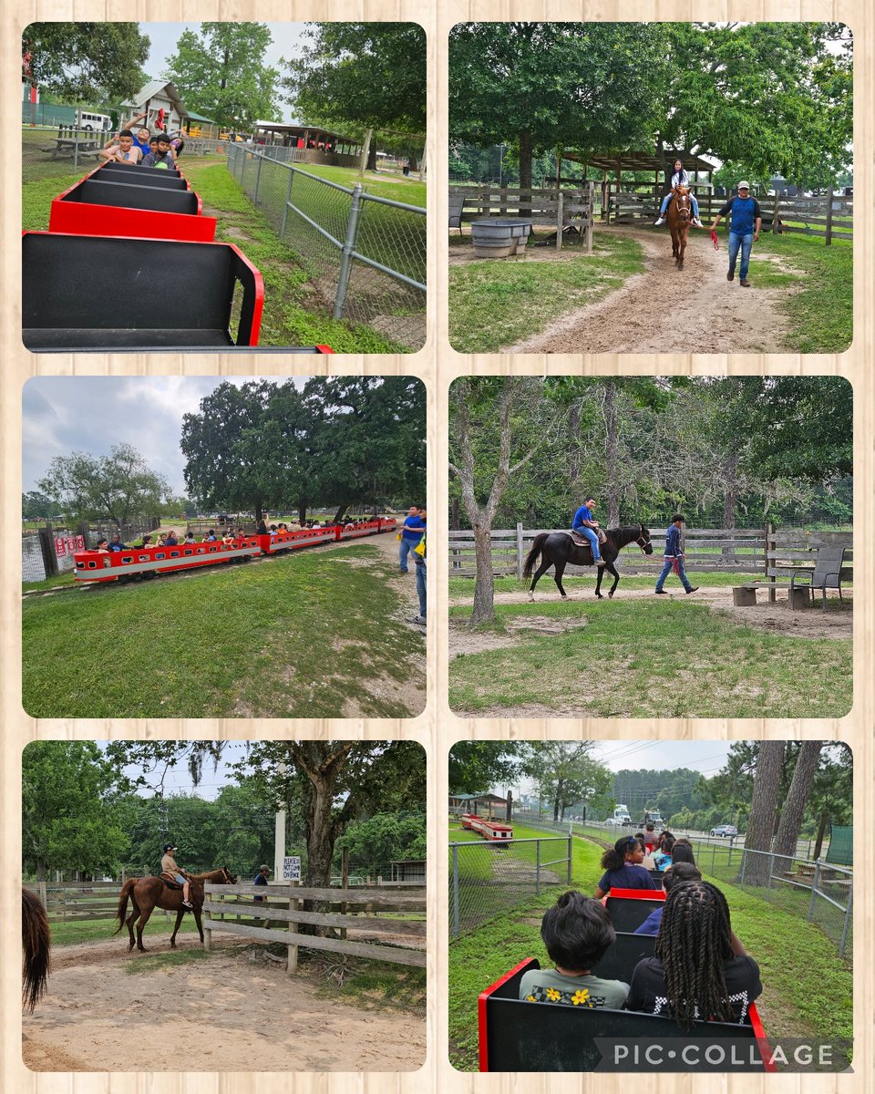 martines19's tweet photo. 3rd 9 weeks Perfect Attendance Field Trip. Our students had a blast at Old McDonald's Farm!#makingmemoriesinmay
#mygray
@GrayES_AISD https://t.co/mk1npR2AMv