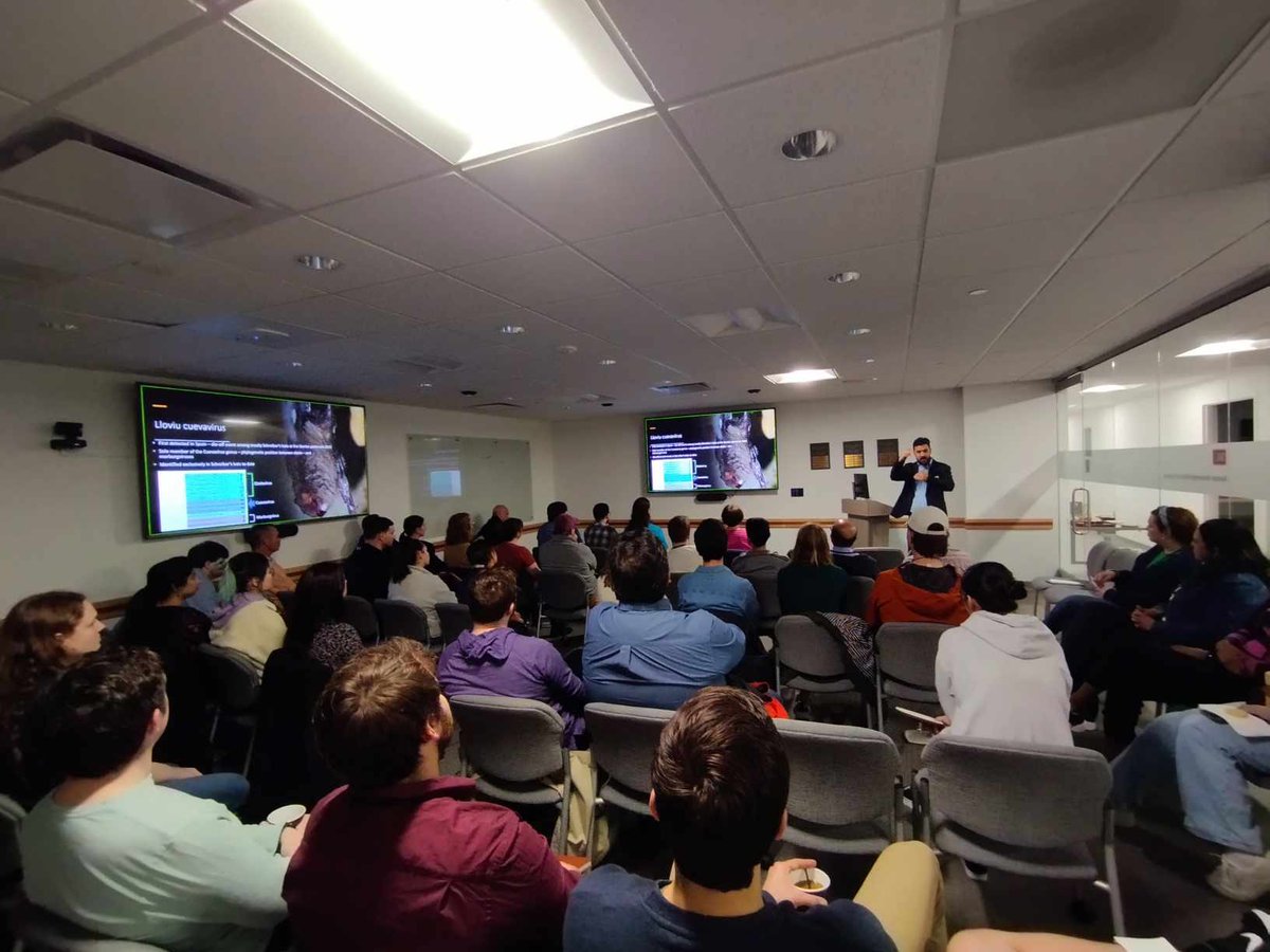 Gabor Kemenesi tweet media