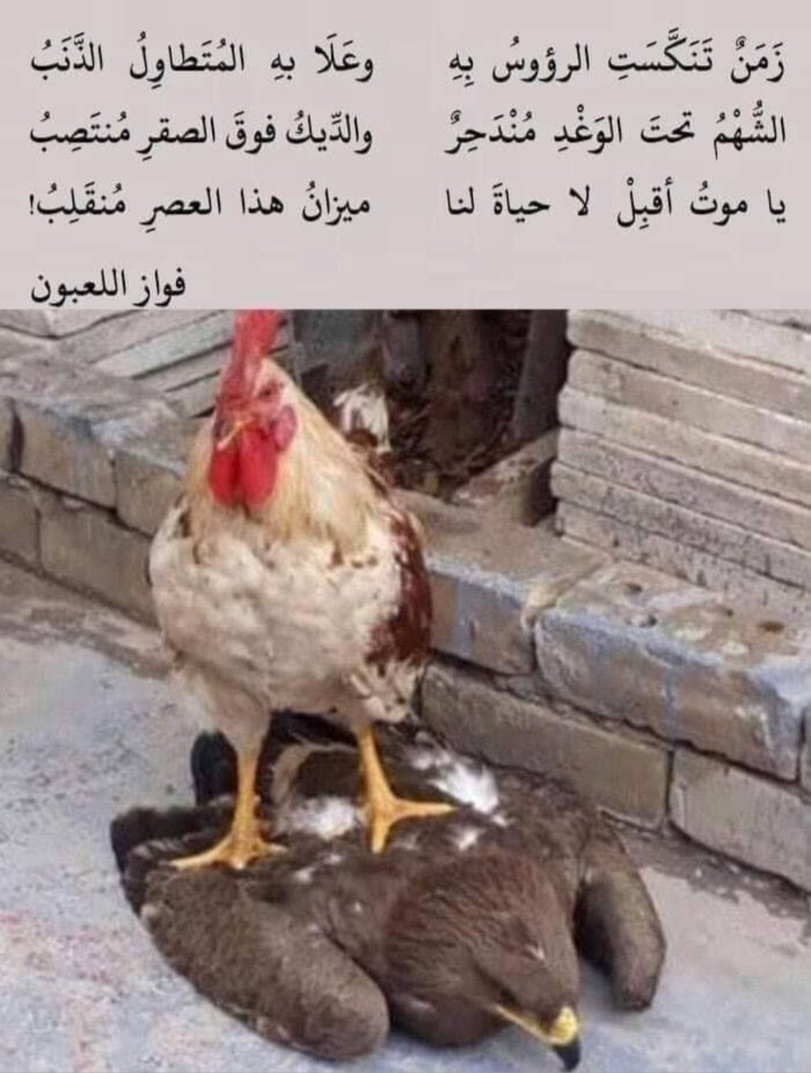 عبدالعزيز العيد. (@ad_aziz_sr) on Twitter photo 