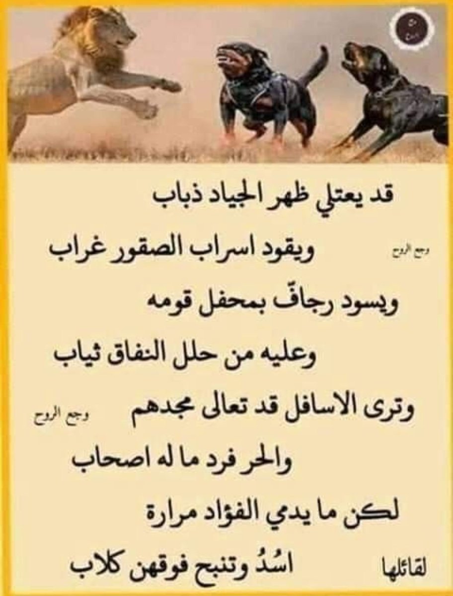 عبدالعزيز العيد. (@ad_aziz_sr) on Twitter photo 