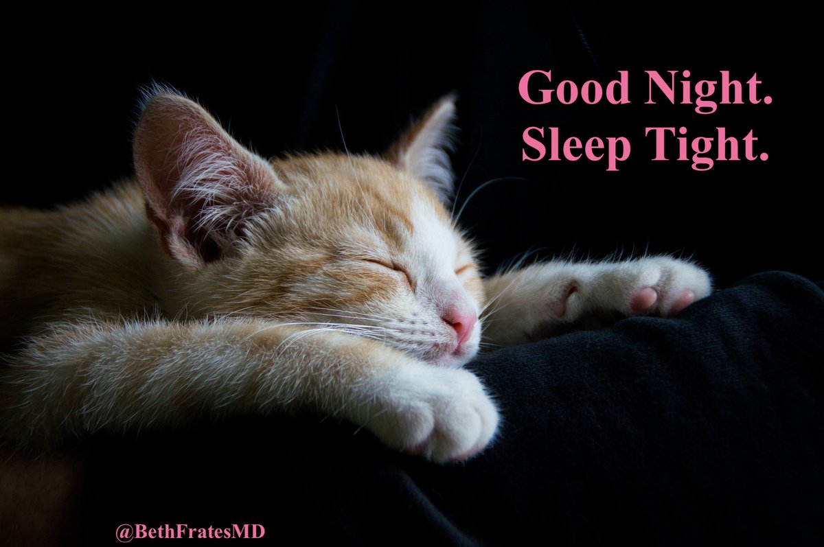 Wishing everyone sound sleep and sweet dreams tonight!

#goodnight #GoodNightEveryone #GoodNightTwitterWorld #Caturday #sleep #night #catsoftwitter